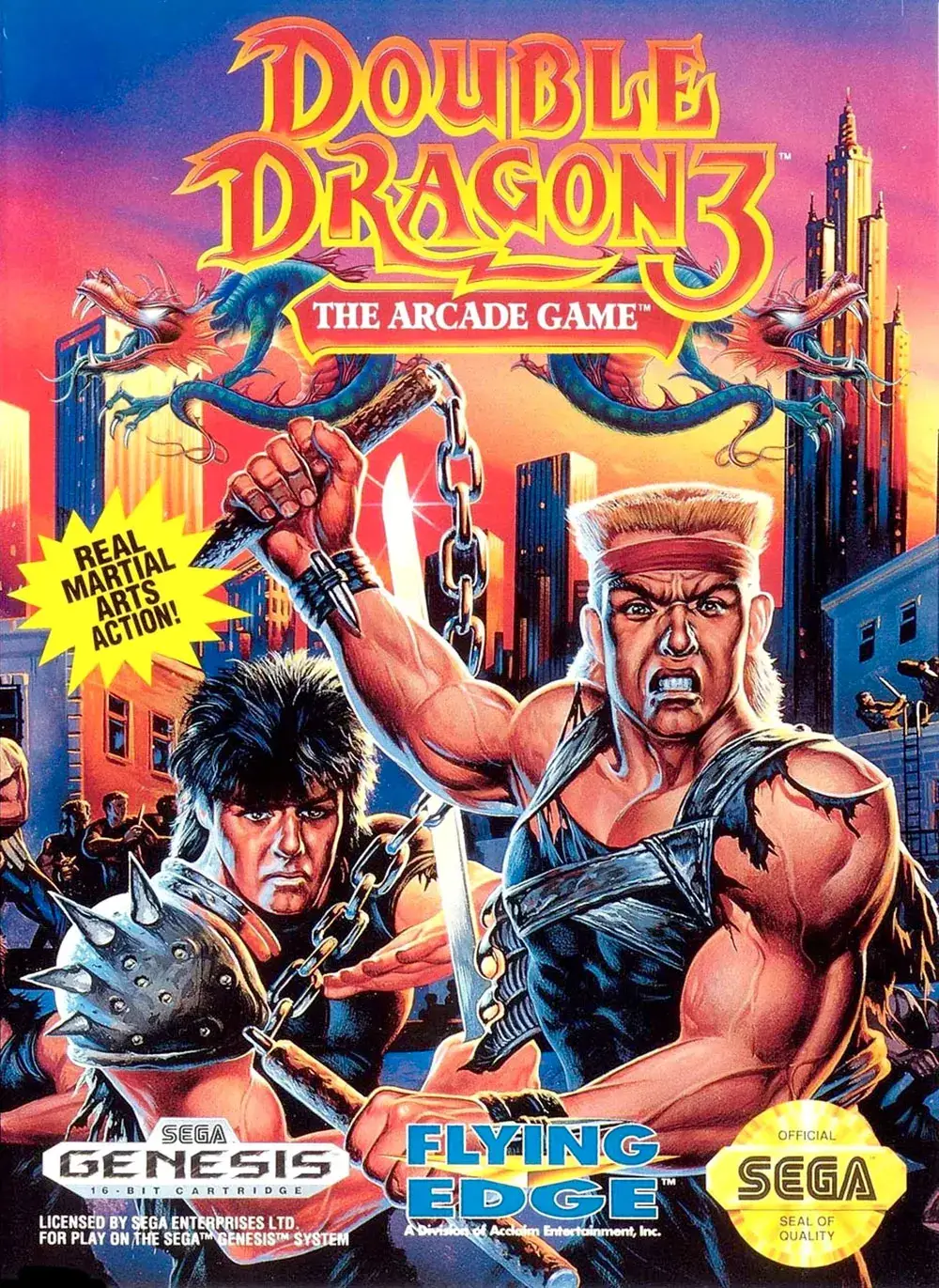 双截龙 3：罗塞塔之石-Double Dragon III: The Sacred Stones-游戏截图-好玩游戏库