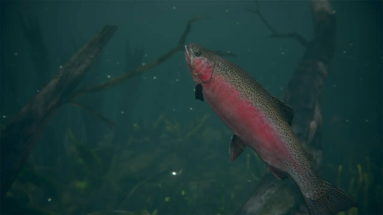 终极钓鱼模拟器 2-Ultimate Fishing Simulator 2-游戏截图-好玩游戏库