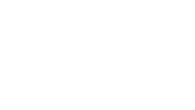 堡垒：猎鹰战纪 | Bulwark Evolution: Falconeer Chronicles LOGO