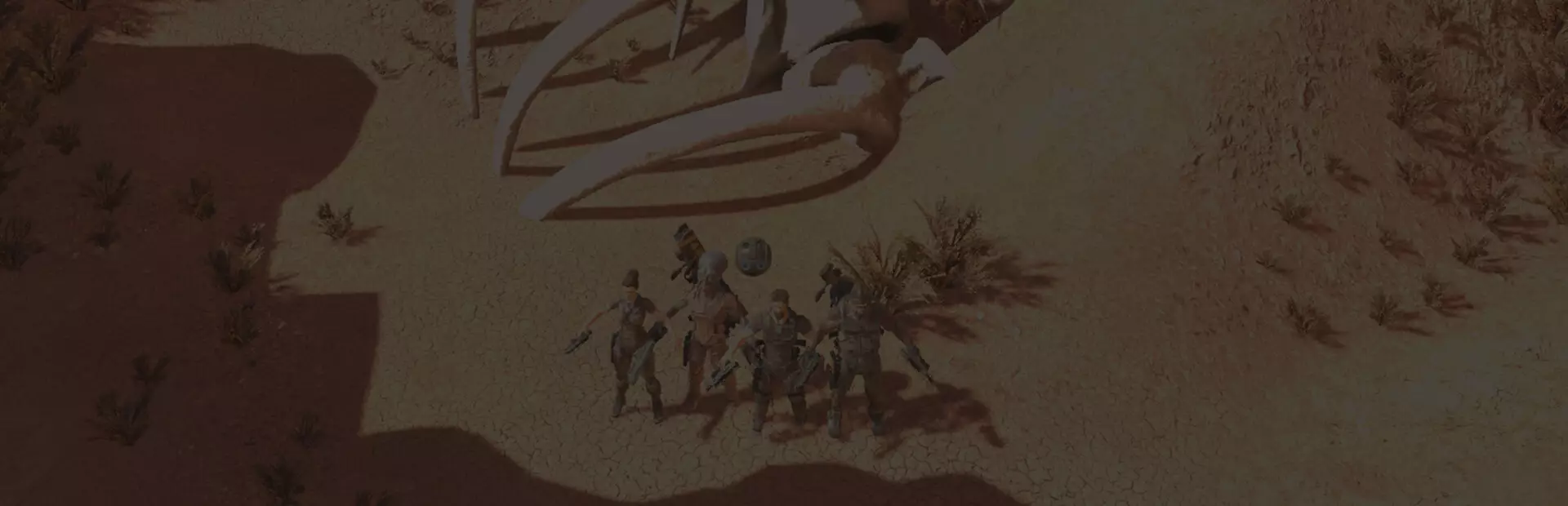 外乡人:狩猎与生存