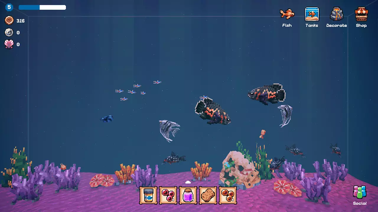 全球鱼友俱乐部：放置好时光-Tiny Aquarium: Social Fishkeeping-游戏截图-好玩游戏库