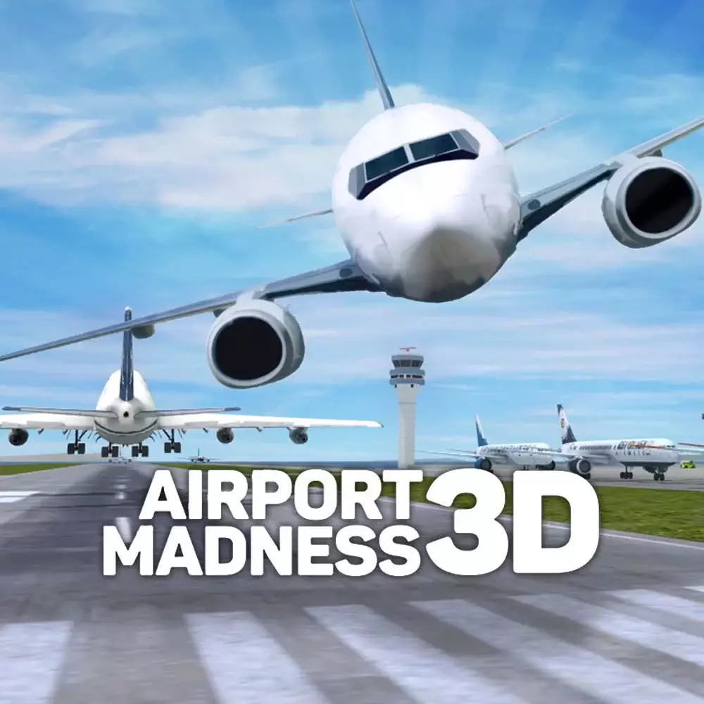 疯狂机场 3D