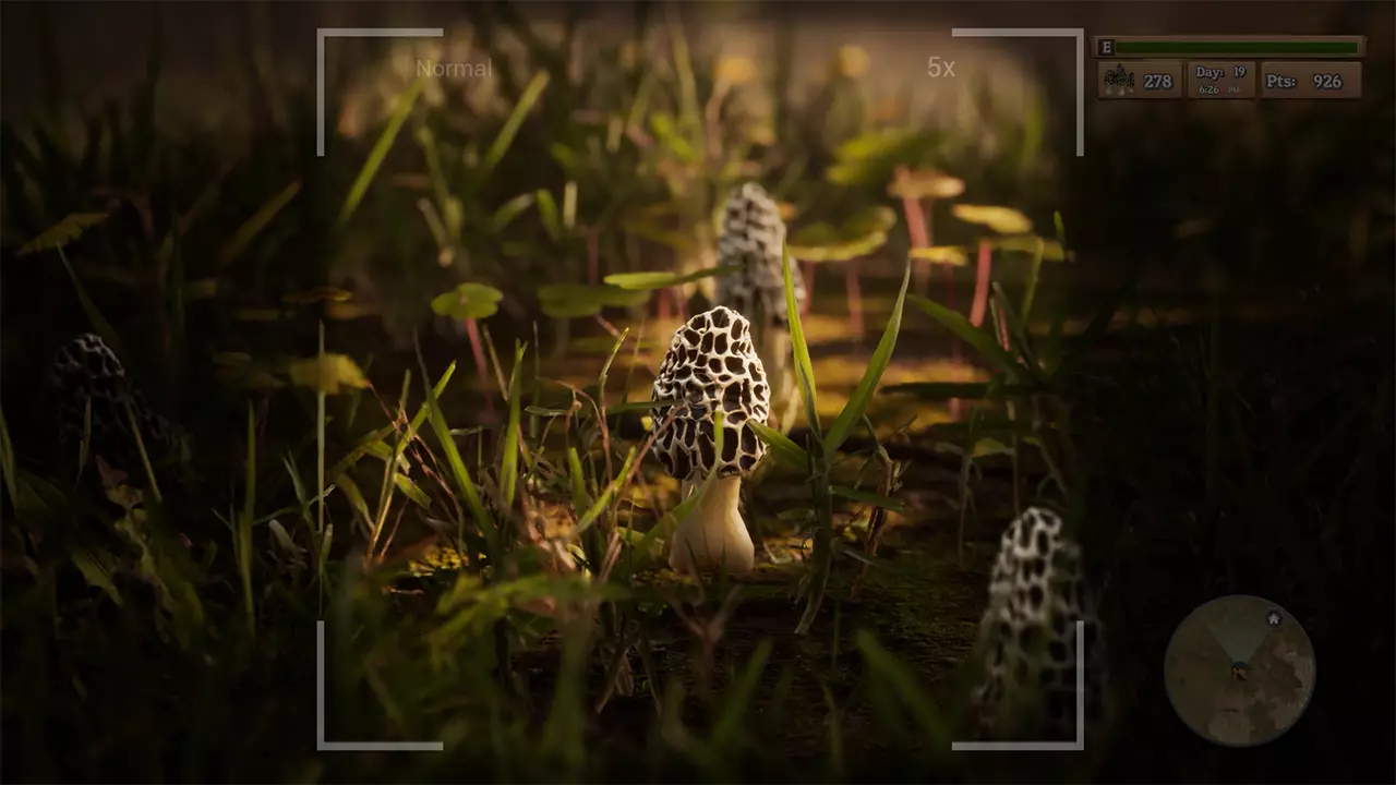 羊肚菌：狩猎-Morels: The Hunt-游戏截图-好玩游戏库