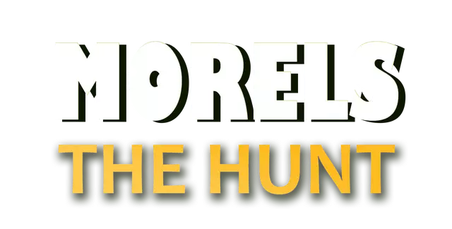 羊肚菌：狩猎 | Morels: The Hunt LOGO