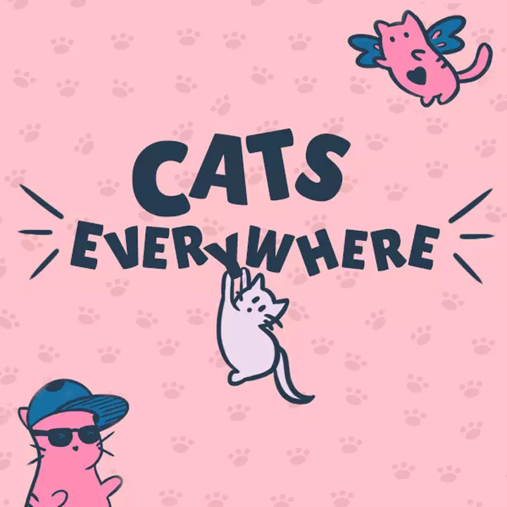 猫咪无处不在