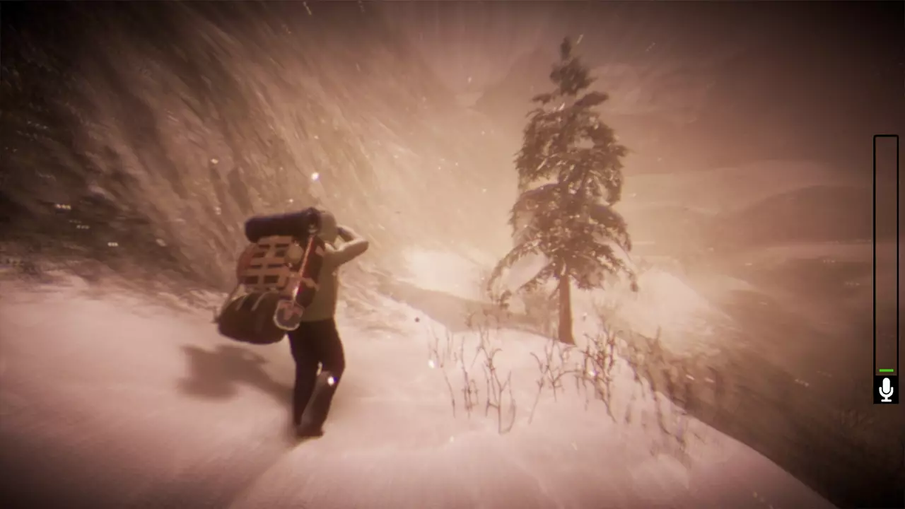 墓后奇谈：白色沉寂-Tales Beyond The Tomb - White Silence-游戏截图-好玩游戏库