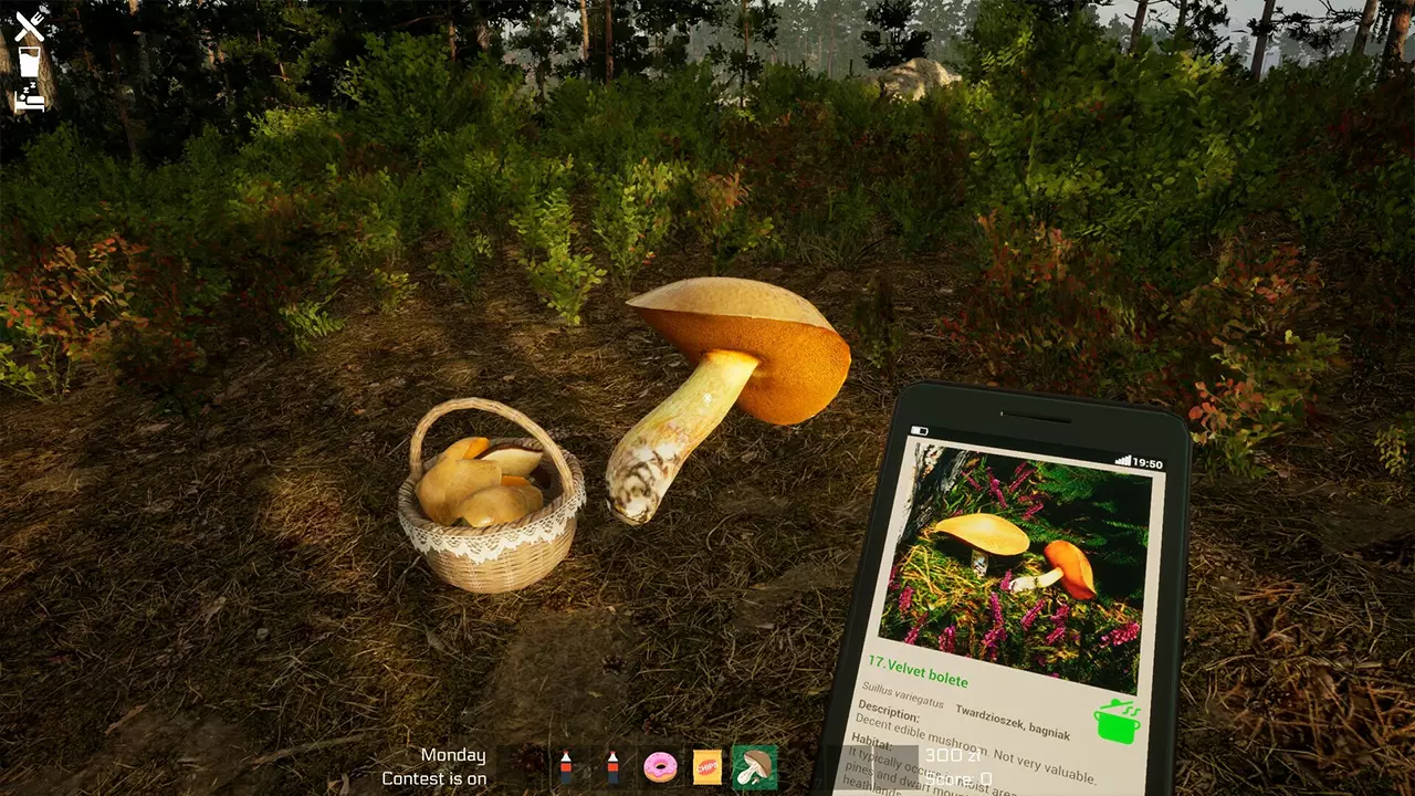 蘑菇季节-Mushroom Season-游戏截图-好玩游戏库