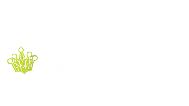 极品飞车：街头狂飙 | Need for Speed: Pro Street LOGO