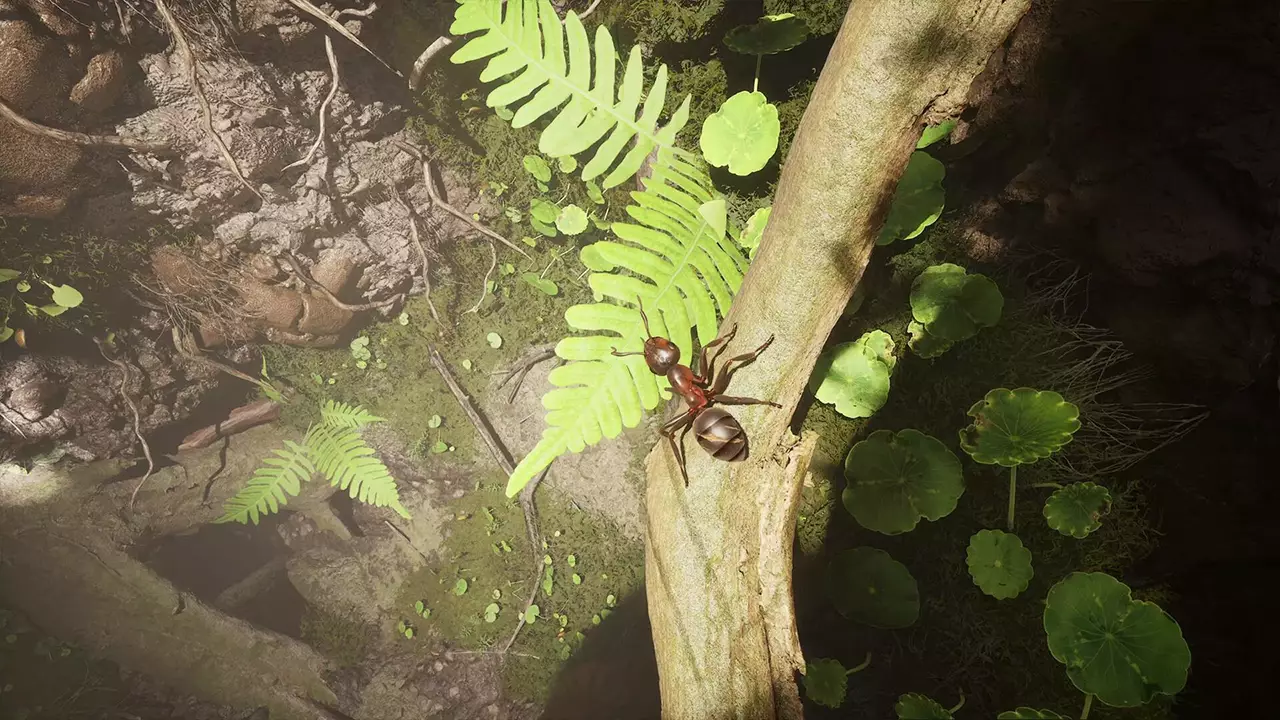 蚂蚁帝国-Empire of the Ants-游戏截图-好玩游戏库