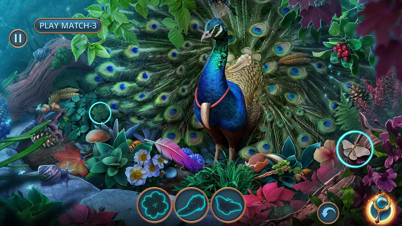 魔法故事：神秘森林-典藏版-Enchanted Stories: Mystic Woods Collector's Edition-游戏截图-好玩游戏库