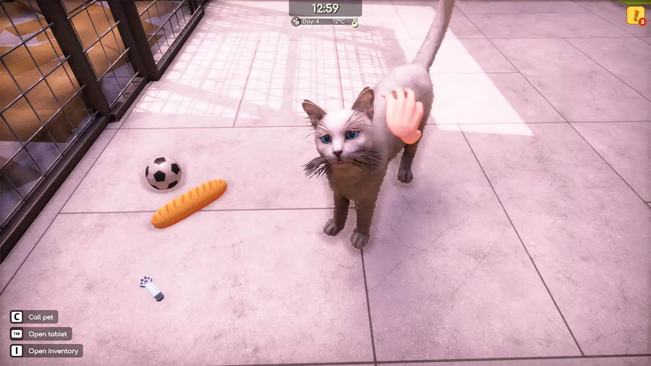 动物收容所 2-Animal Shelter 2-游戏截图-好玩游戏库