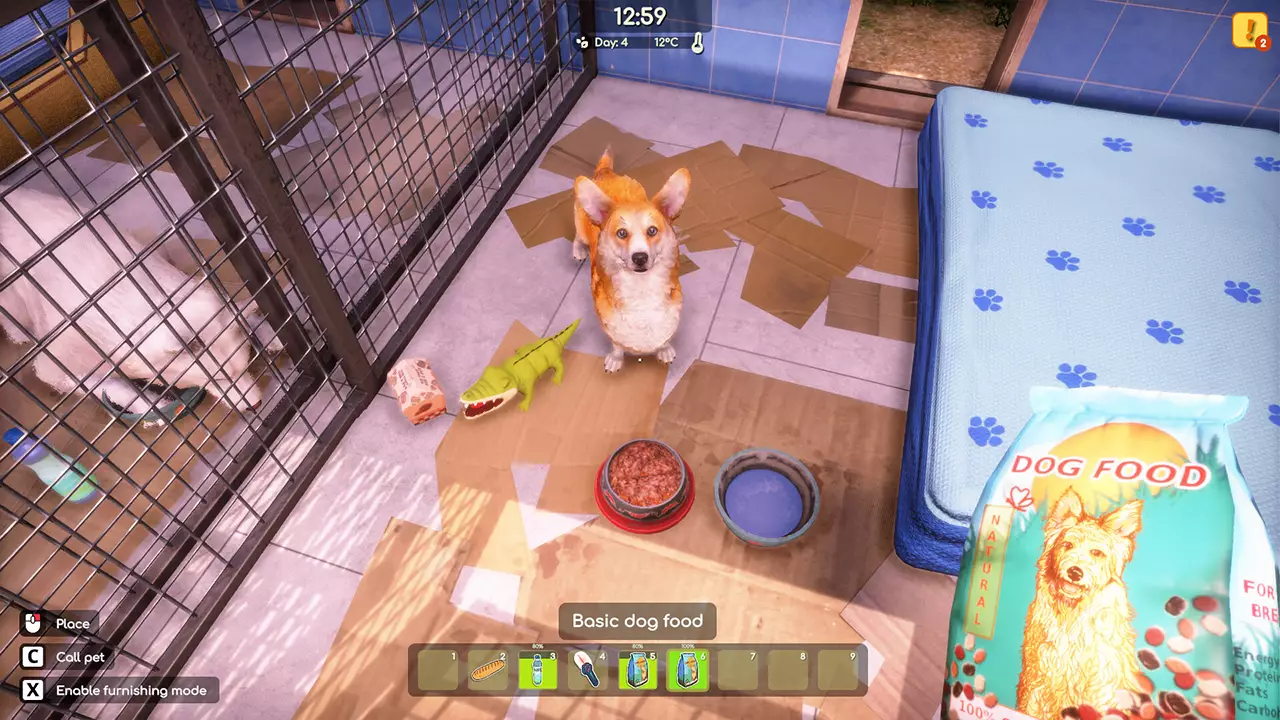 动物收容所 2-Animal Shelter 2-游戏截图-好玩游戏库