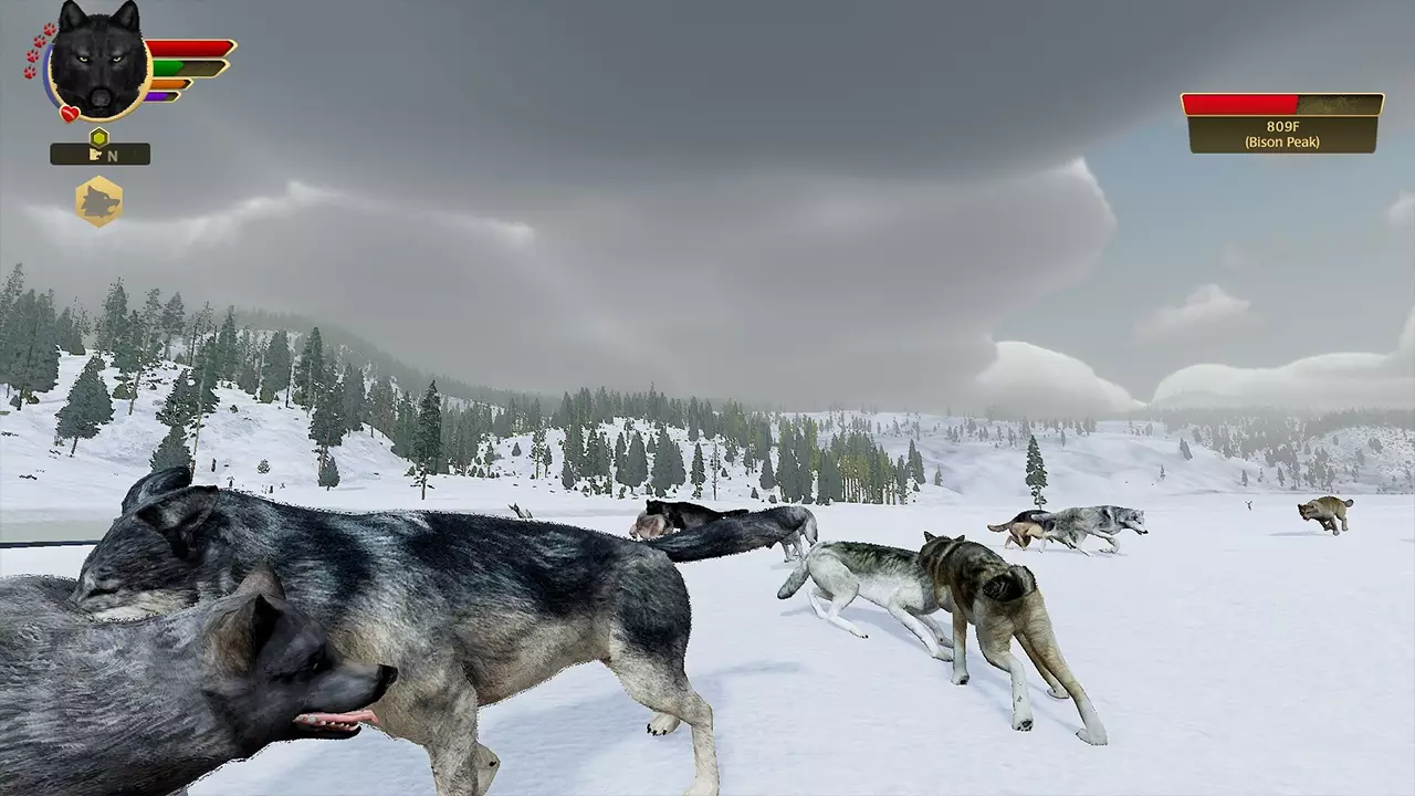 野狼谜踪：周年纪念版-WolfQuest: Anniversary Edition-游戏截图-好玩游戏库