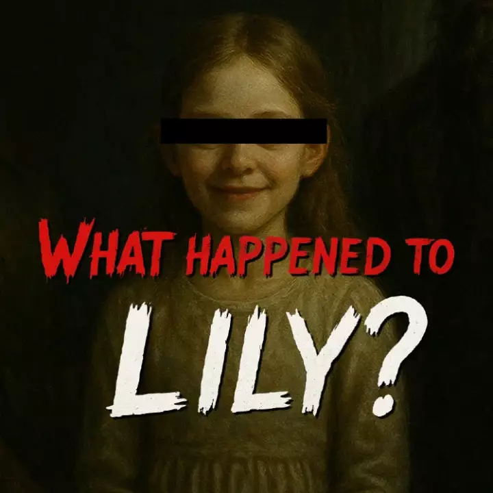 莉莉出了什么事？