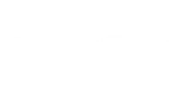 活体脑细胞 | Soma