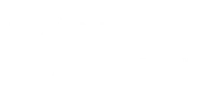 双镜 | Twin Mirror LOGO