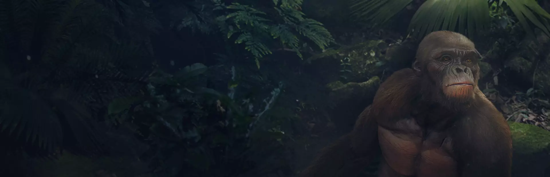 先祖：人类奥德赛