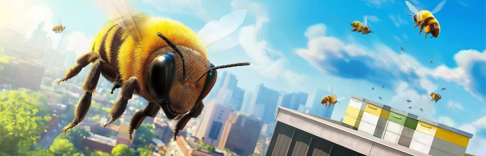 蜜蜂模拟器:蜂巢