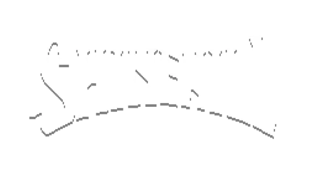 夏因希尔 | Shinehill LOGO