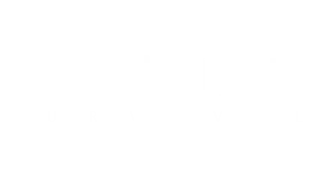 迷失航班：求生之旅 | Lost Flight: Survival LOGO