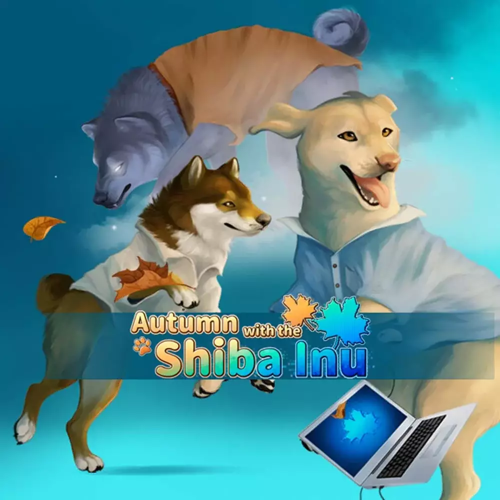 与柴犬共度秋天