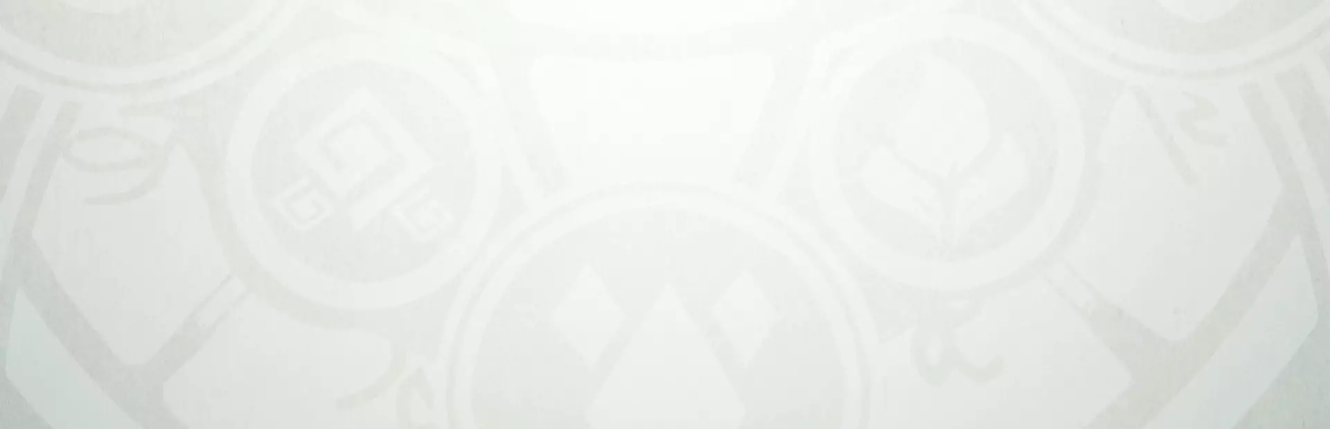 闪亮精灵:雷霆王国