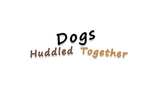 挤在一起的狗狗 | Dogs Huddled Together LOGO