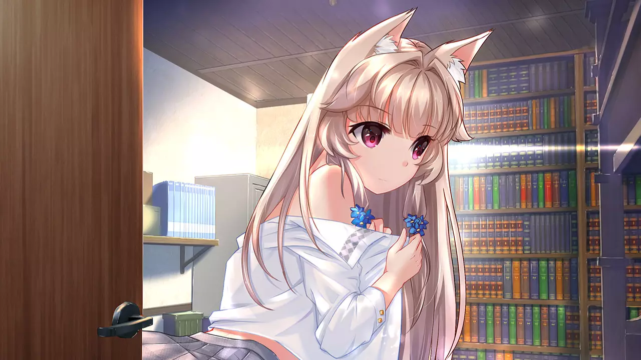 狐姬-Fox Hime-游戏截图-好玩游戏库