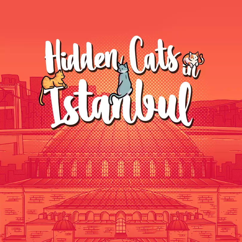 隐藏在伊斯坦布尔的猫