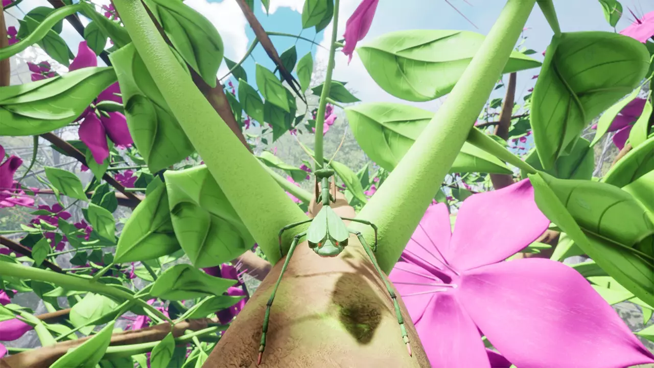 自然与生命：沉醉于花蜜-Nature And Life - Drunk On Nectar-游戏截图-好玩游戏库