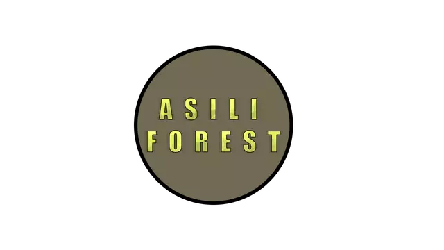 阿西里森林：自然与机械的挽歌 | Asili Forest