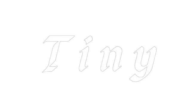 微跃者 | Tiny LOGO