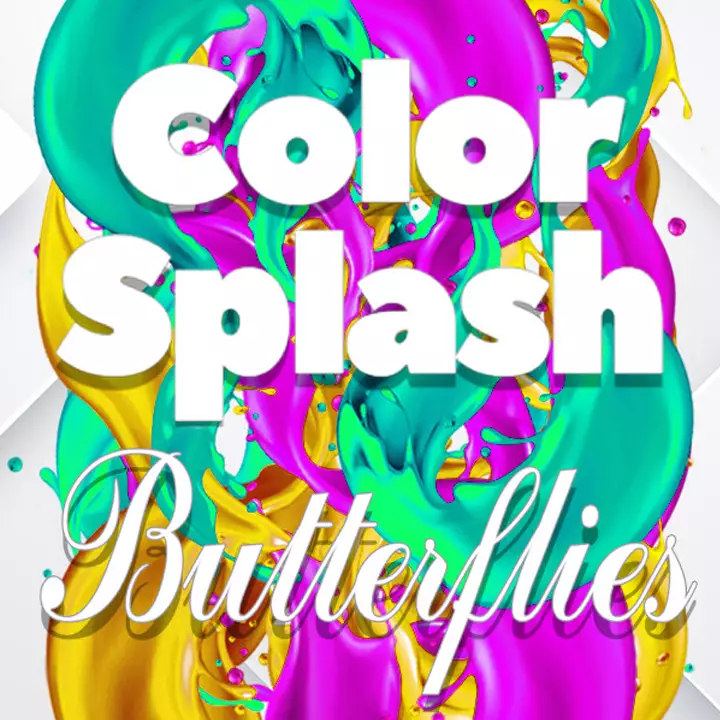 色彩绽放：蝶舞拼图