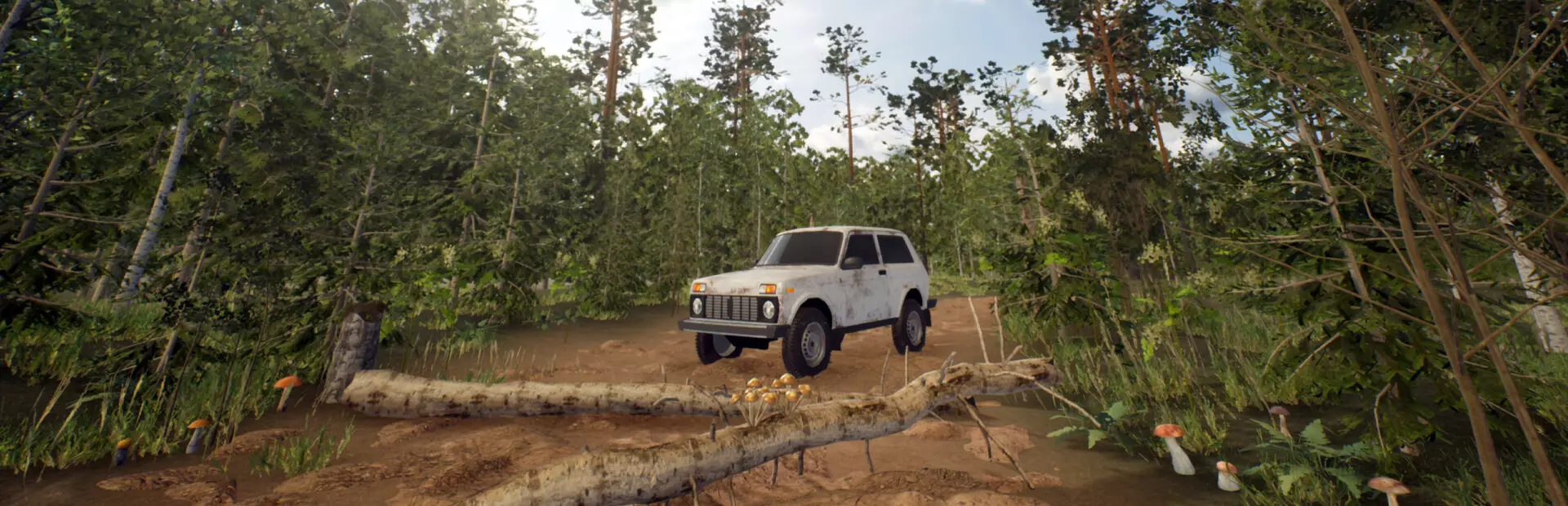 蘑菇漫游者：森林疗愈之旅