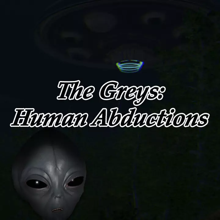 灰人：人类绑架