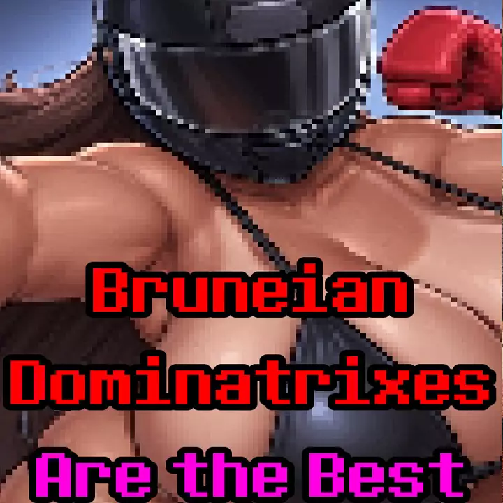 文莱统治者是最好的