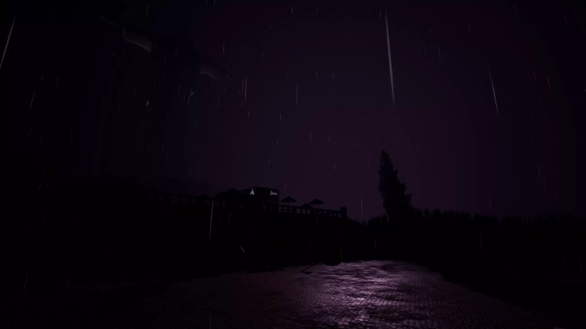 Corcovado’s Night Guard