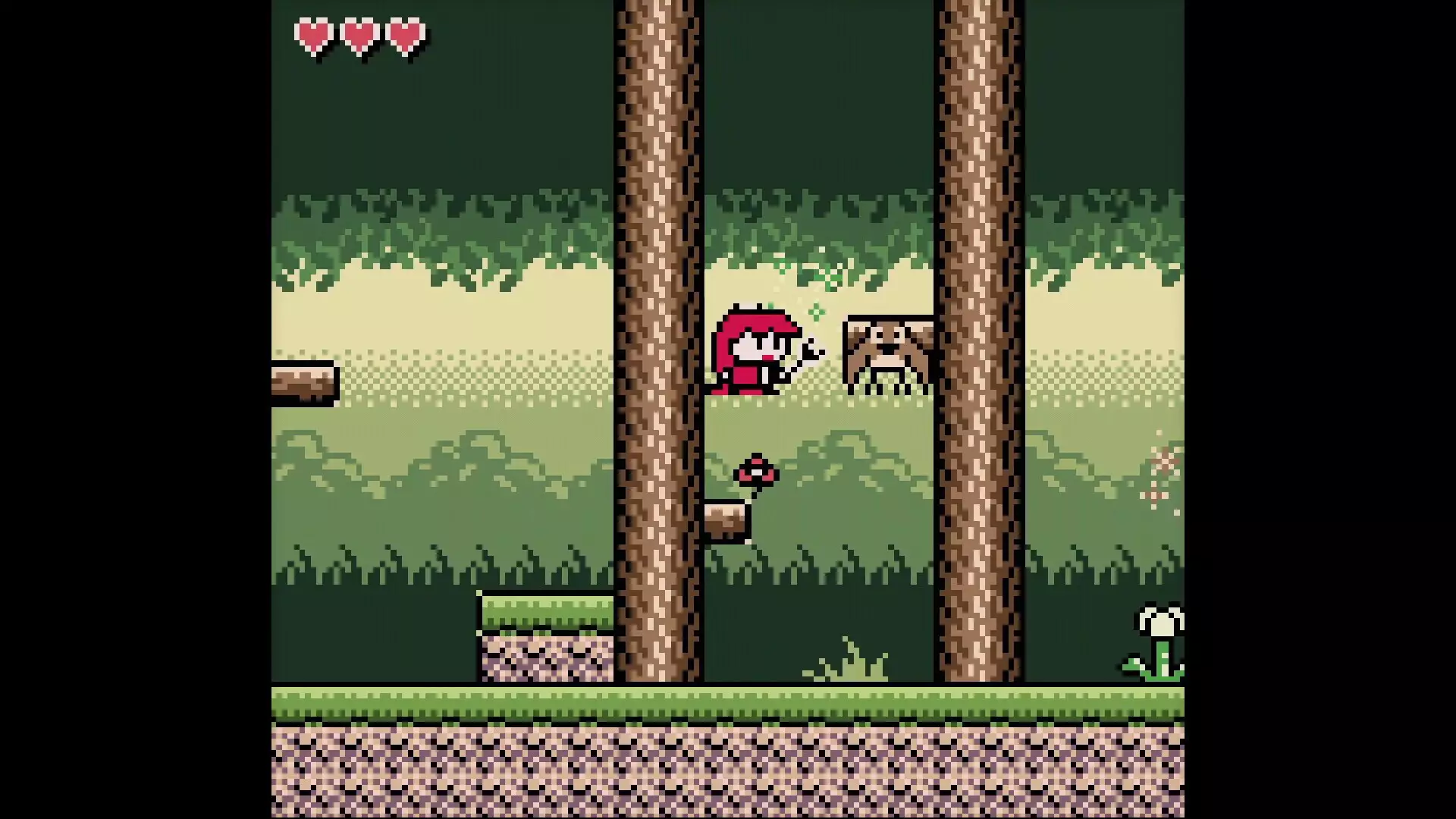 -Pokettohiro-游戏截图-好玩游戏库