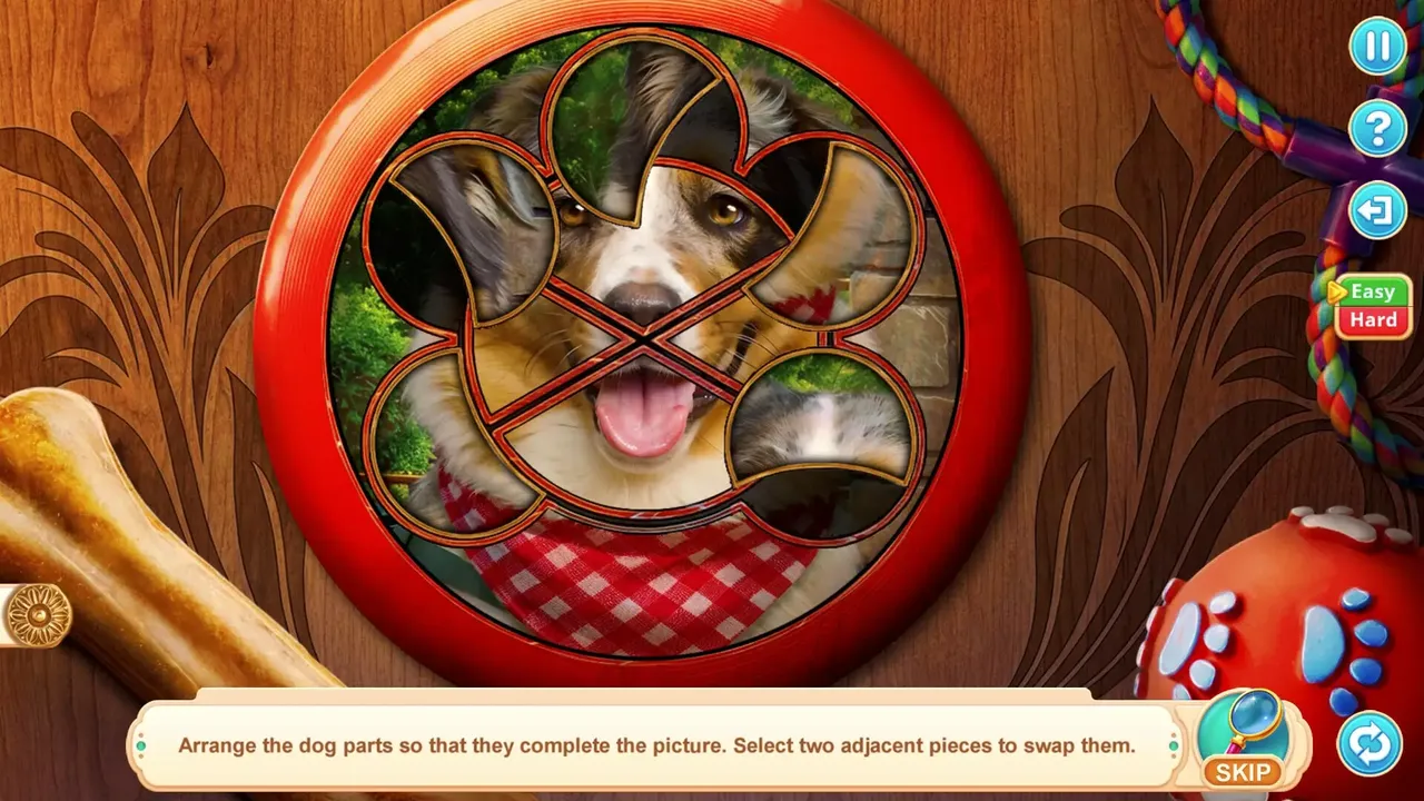 -Home for Friends: Beloved Pets Collector's Edition-游戏截图-好玩游戏库