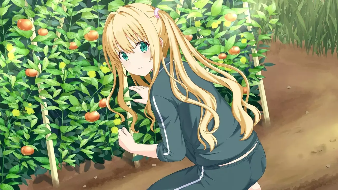 -Kono Aozora ni Yakusoku o Refine-游戏截图-好玩游戏库