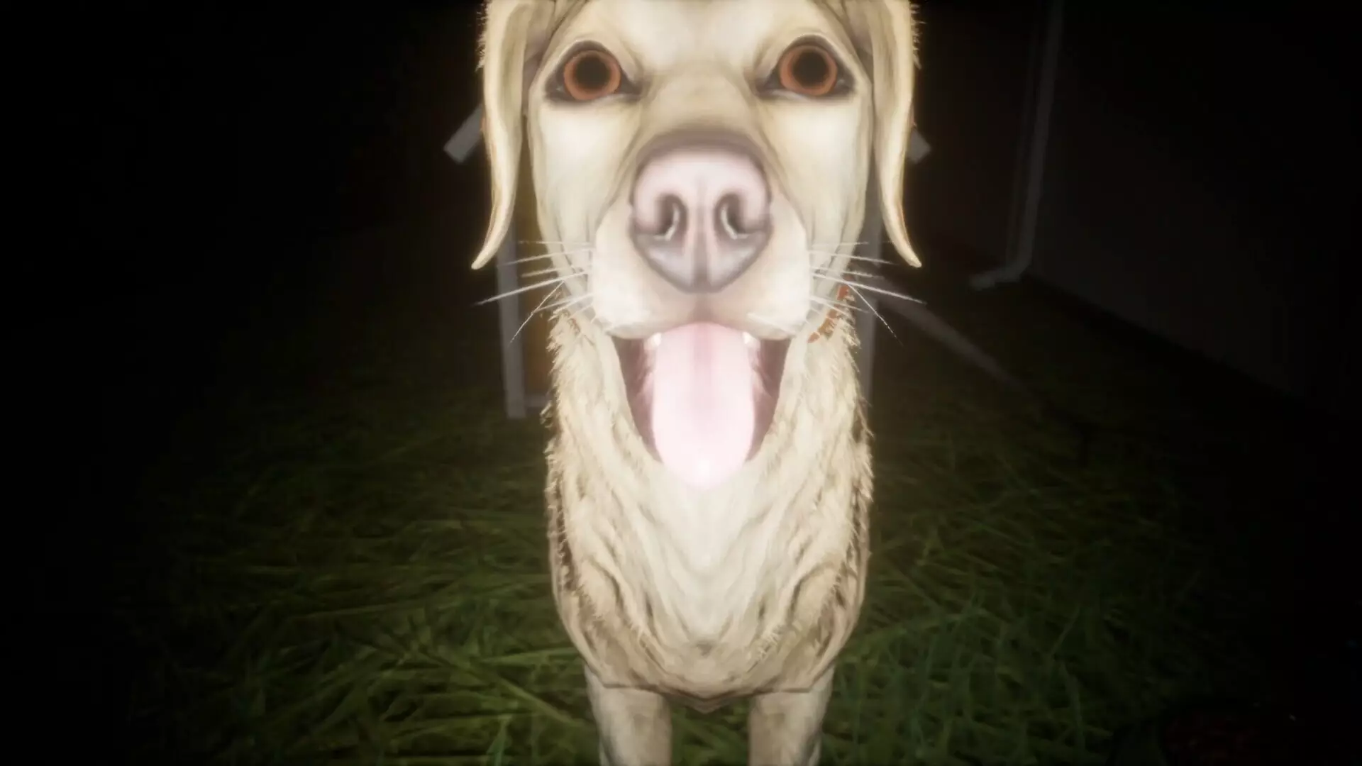 -たんぼ-游戏截图-好玩游戏库