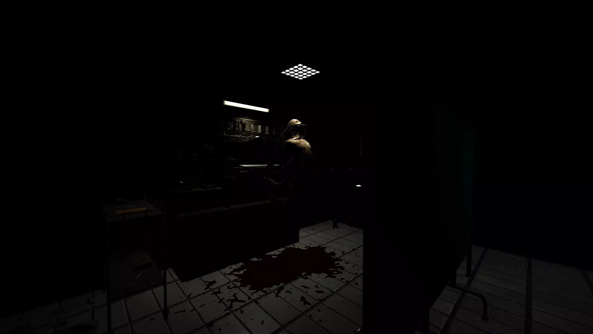 恐惧实验1.0-Phobophobia 1.0 – The Experiment-游戏截图-好玩游戏库