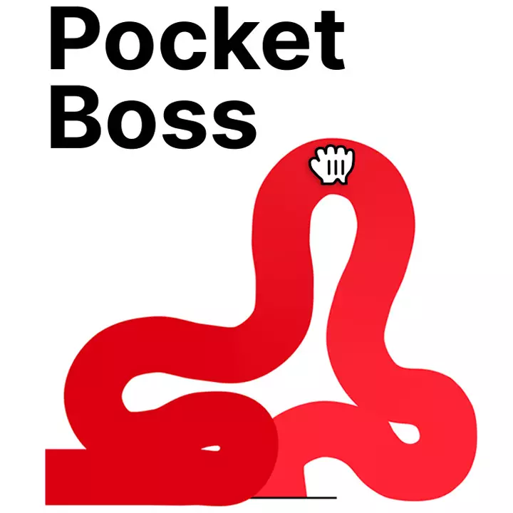 口袋上司：数据魔术师