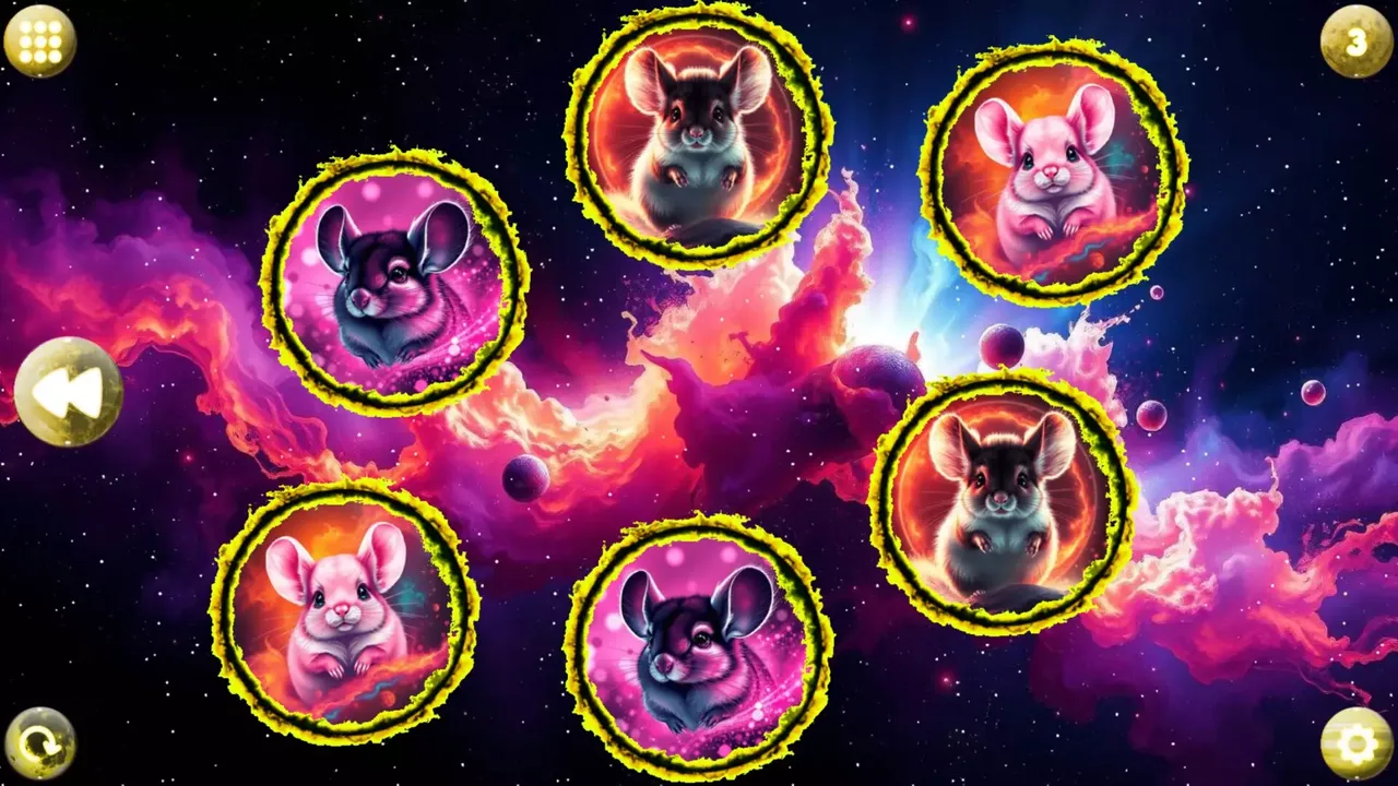 -Space Memory: Chinchillas-游戏截图-好玩游戏库