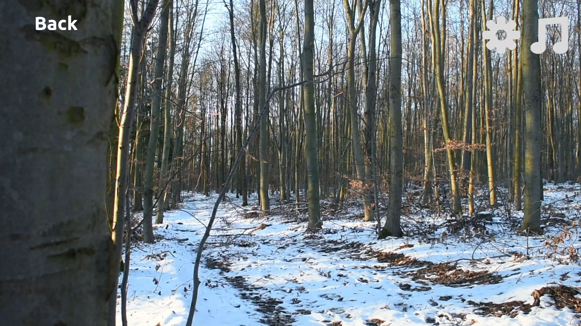 -Rest Point-游戏截图-好玩游戏库