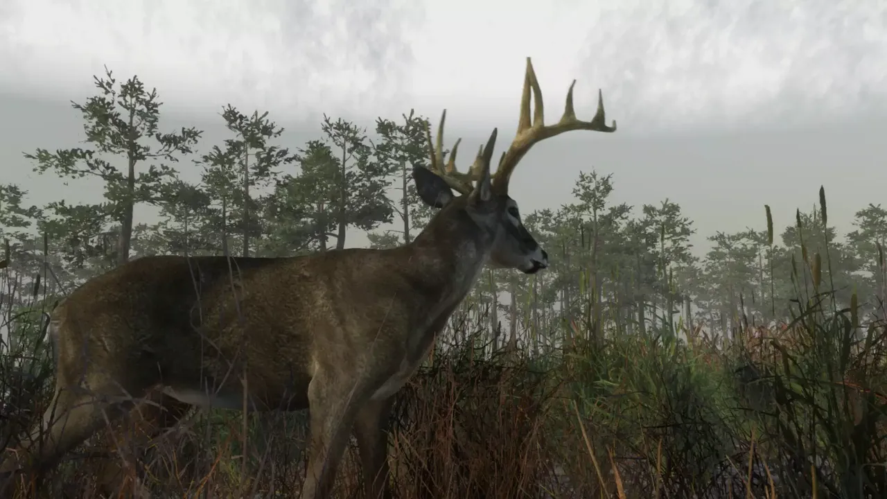 -Deer Hunting Camp-游戏截图-好玩游戏库