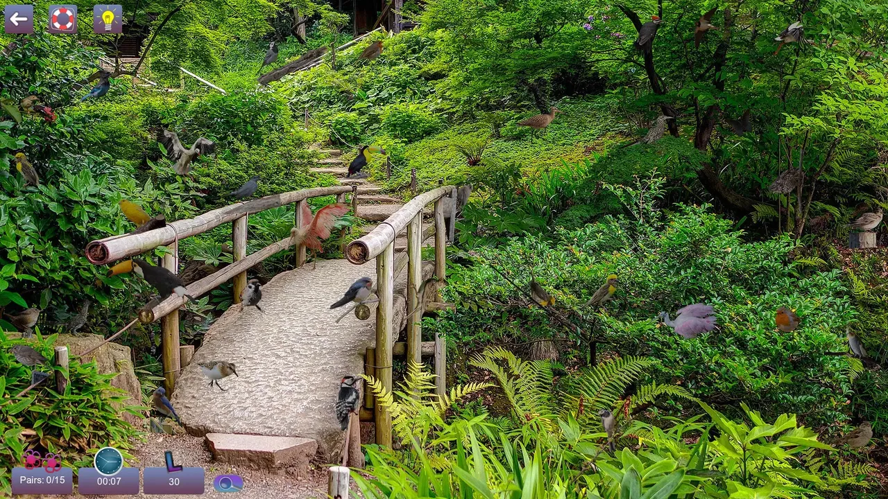 -Hidden Pairs 3: Lovely Birds-游戏截图-好玩游戏库