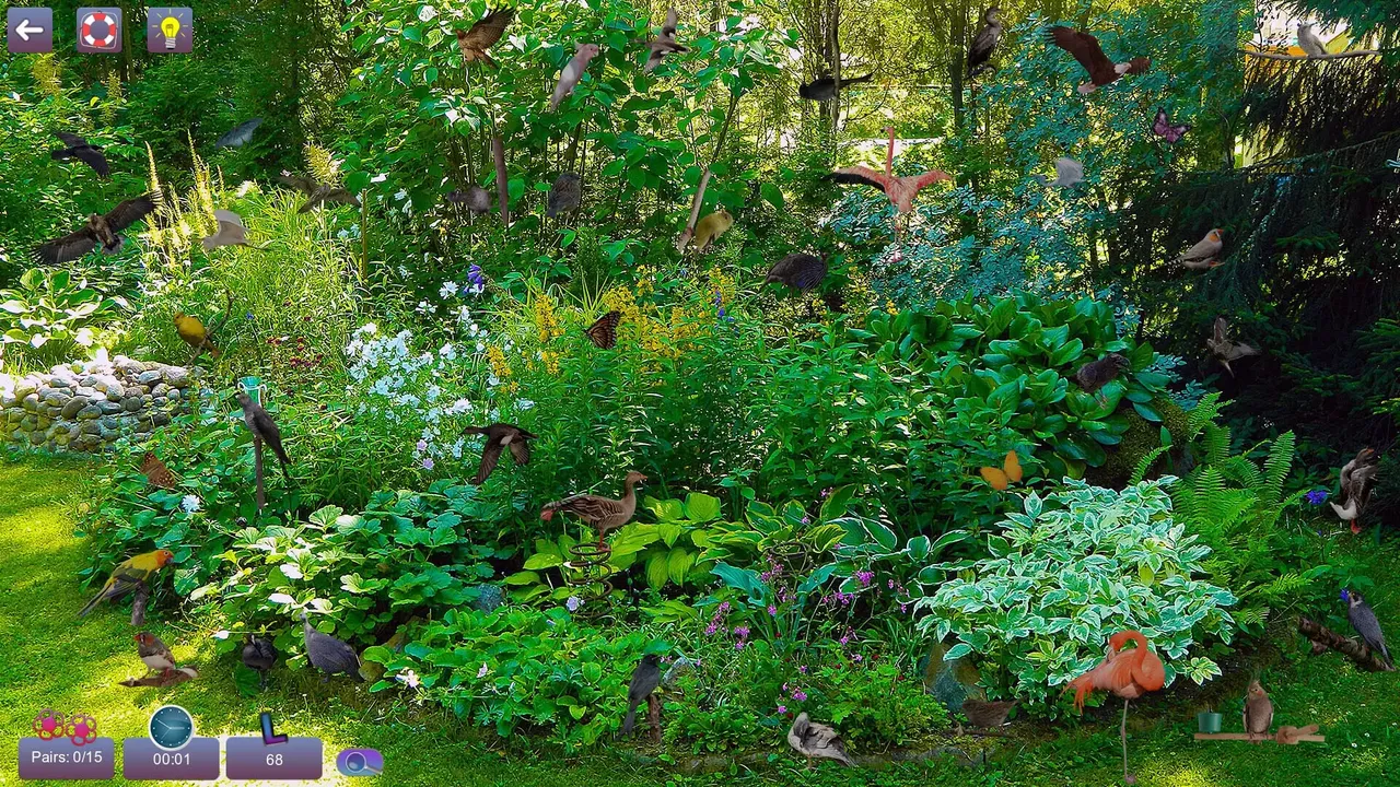 -Hidden Pairs 3: Lovely Birds-游戏截图-好玩游戏库
