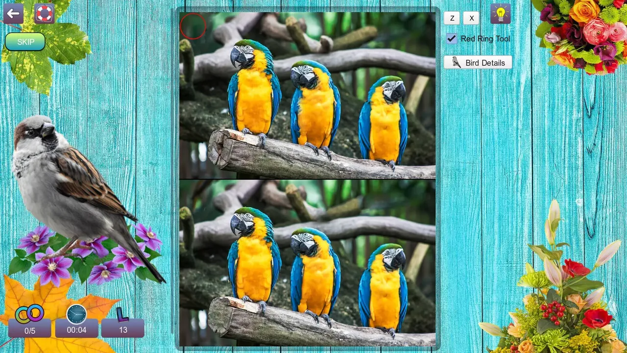 -Hidden Pairs 3: Lovely Birds-游戏截图-好玩游戏库