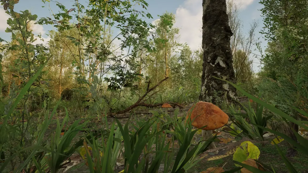 -Forest Doesn’t Care-游戏截图-好玩游戏库